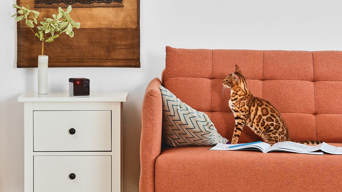 7 petfriendly ways tech can keep your pal happy and healthy in 2022