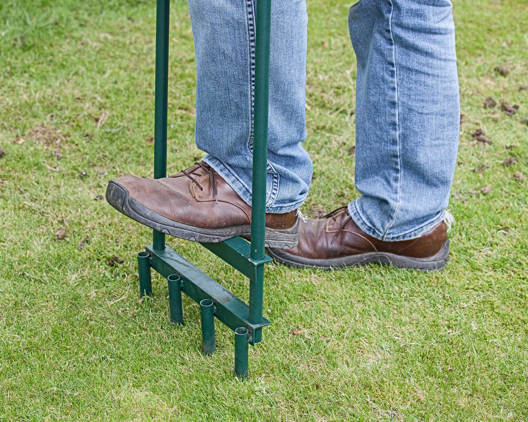 How To Get Rid Of Mushrooms In A Lawn