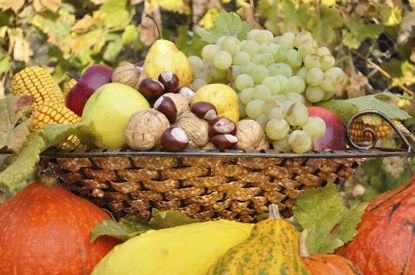 Basket Filled and Surrounded With a Variety of Fruits