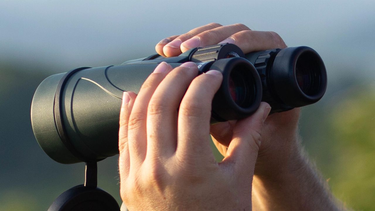 Celestron Nature DX 12x56 in the hand