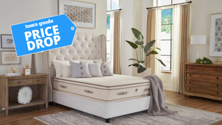 PlushBeds Botanical Bliss organic ooling mattress in a brightly lit room