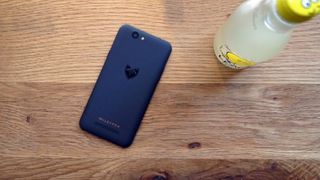 WIleyFox Spark review