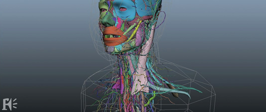 “We modelled the anatomy for each character, as each part played a different role in the Extremis effect,” says Wajsbrot