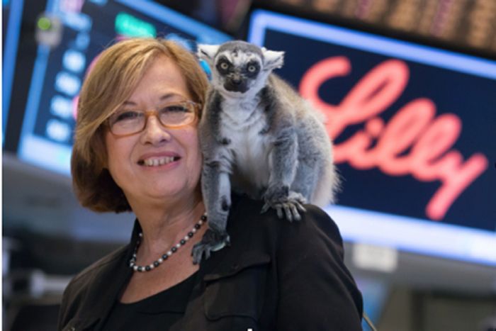 lemur lady Patricia Wright researches how to save lemurs