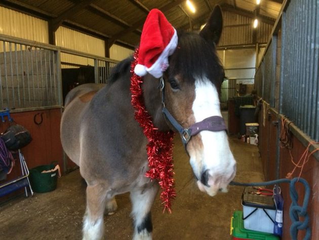 Hovis-Christmas-3-e1513866624713.jpeg