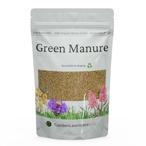 Green Manure Seeds Uk &amp;ndash; Use Year-Round for Allotments, Vegetable Beds &amp;amp; Soil Health &amp;ndash; Suppress Weeds &amp;ndash; Enrich Soil &amp;ndash; Mix of Grass, Mustard, Radish &amp;amp; Phacelia