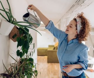 A woman reaches to water houseplants on a wall with a watering can