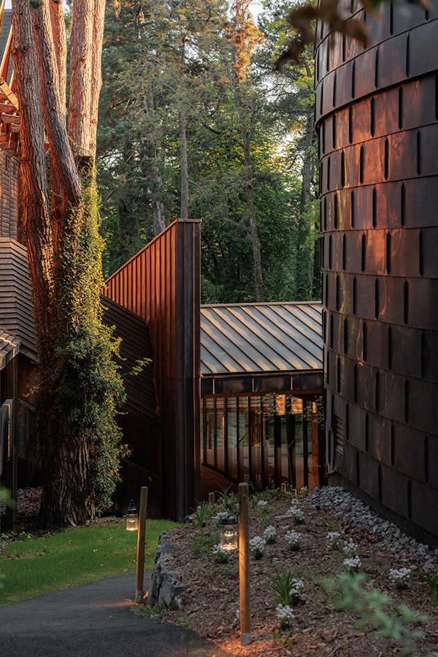 Evian concert hall, La Source Vive, all organic forms in the woods