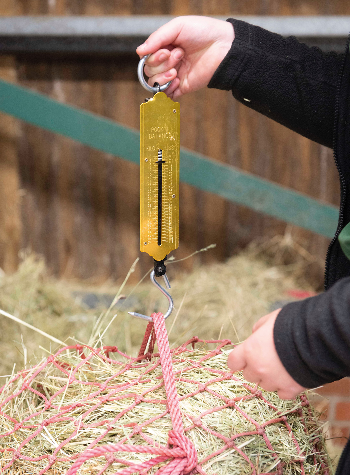HAH302.vet_.weighing_hay_3_409047672_736249822_ti_archive.jpg