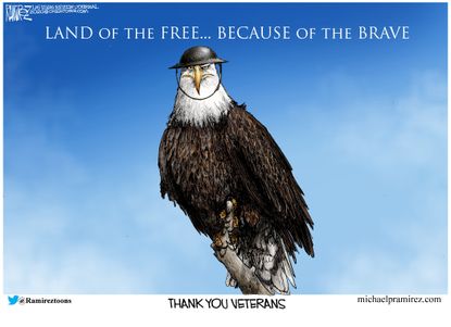 Editorial Cartoon U.S. Veterans Day