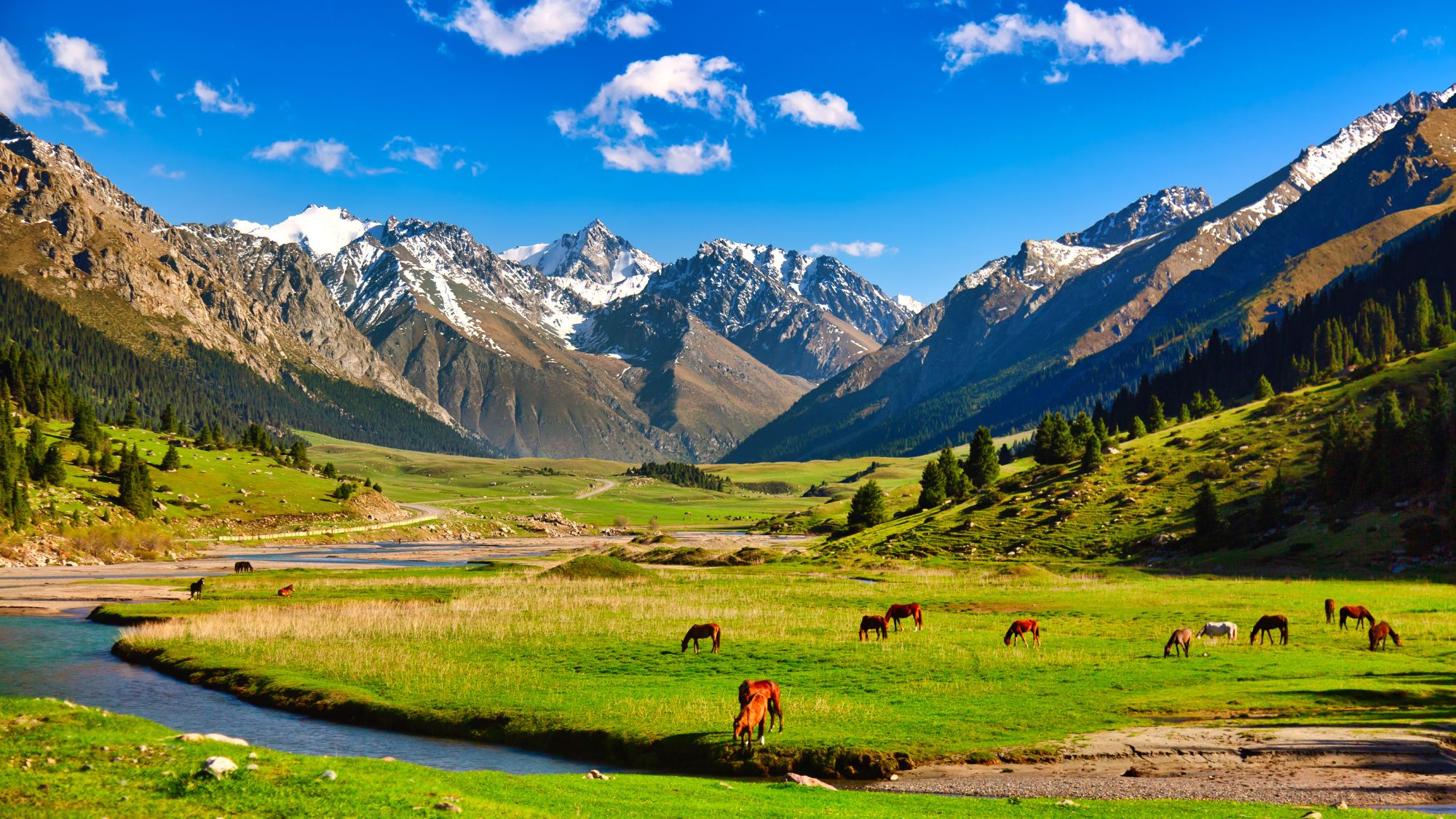 green alpine meadows with horses and river against Tien-Shan mountains in Kyrgyzstan