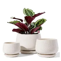 Le Tauci Plant pots Le Tauci Plant pots