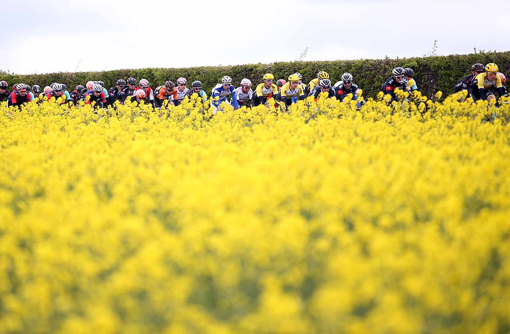 The races along the Yorkshire landscape
