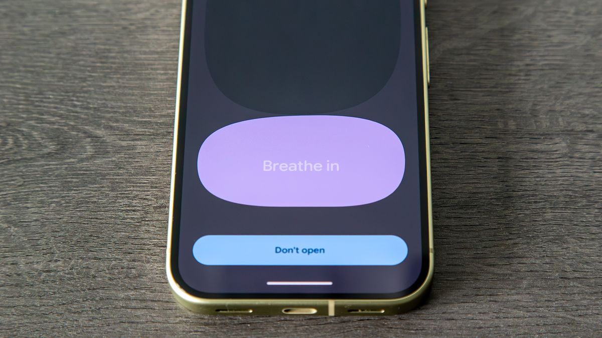 Pause Point on the Pixel 11
