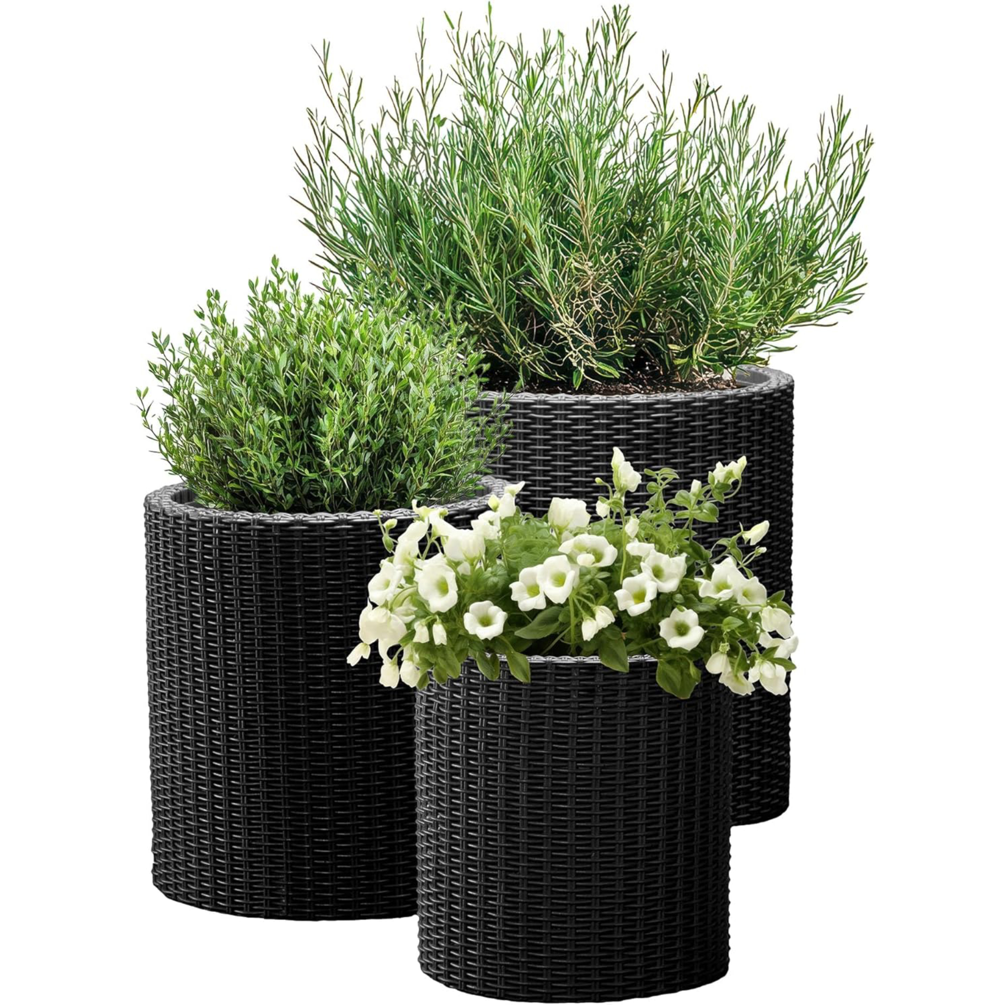 Keter Cylinder Set of 3 Rattan Resin Planters