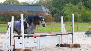 Horse refusing jump