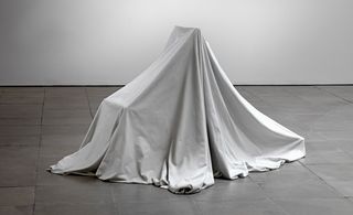Sculpture under the fabric.