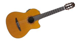 The guitar is flawless. The cedar top is clearly visible under an amber-toned gloss finish