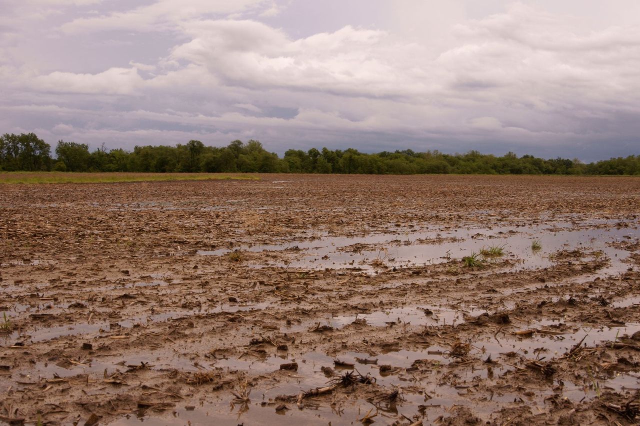 Soil Field Flooded With Water