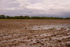 Soil Field Flooded With Water