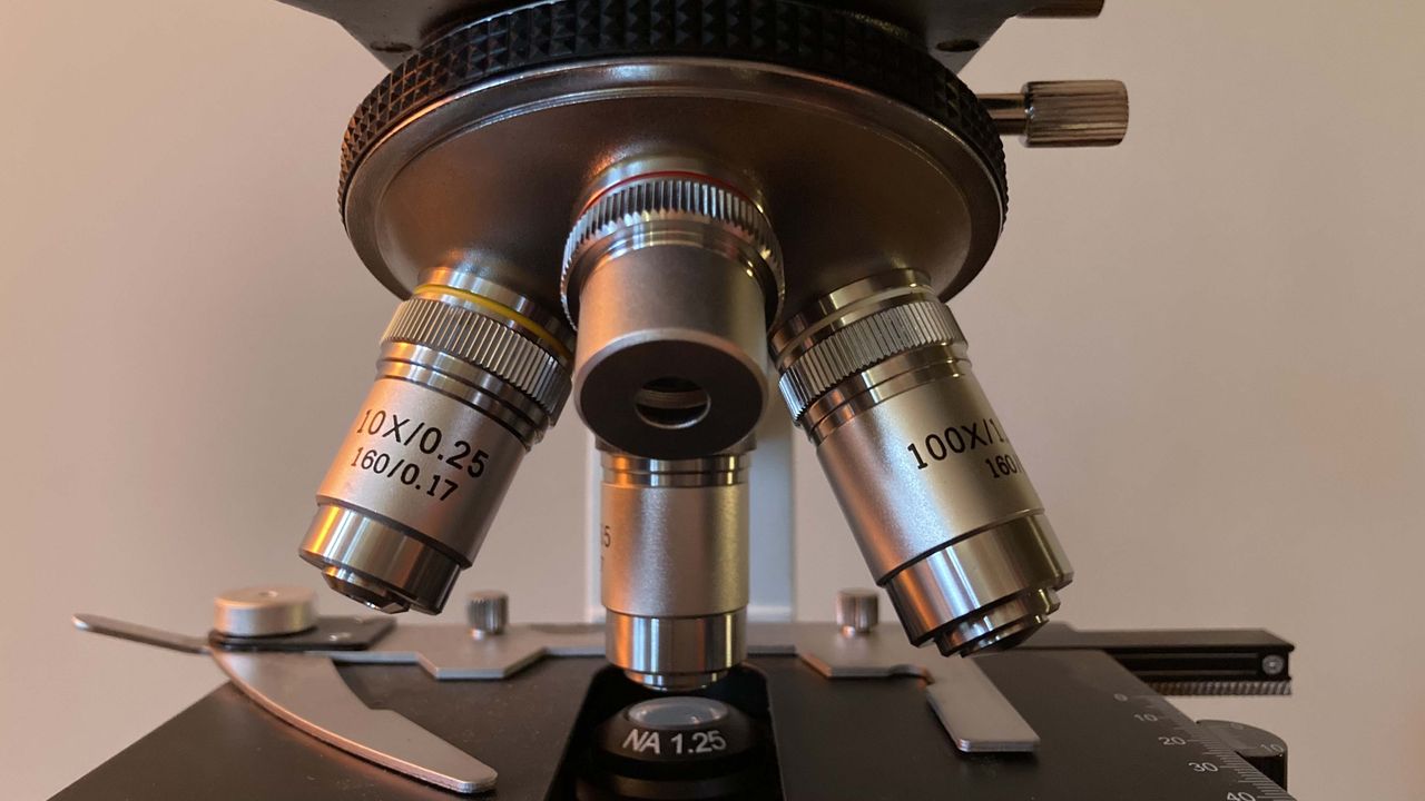 Celestron Labs CB2000C Advanced Biological Trinocular Microscope