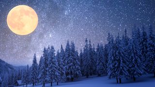 Winter Solstice Horoscope: Winter night with full moon and starry sky. Frost covered trees in a mountain forest. Landscape with fresh snow.