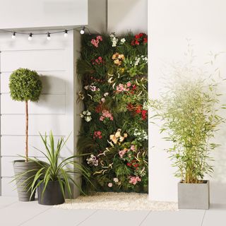 vertical pocket garden with plant on pot with shrub on pot