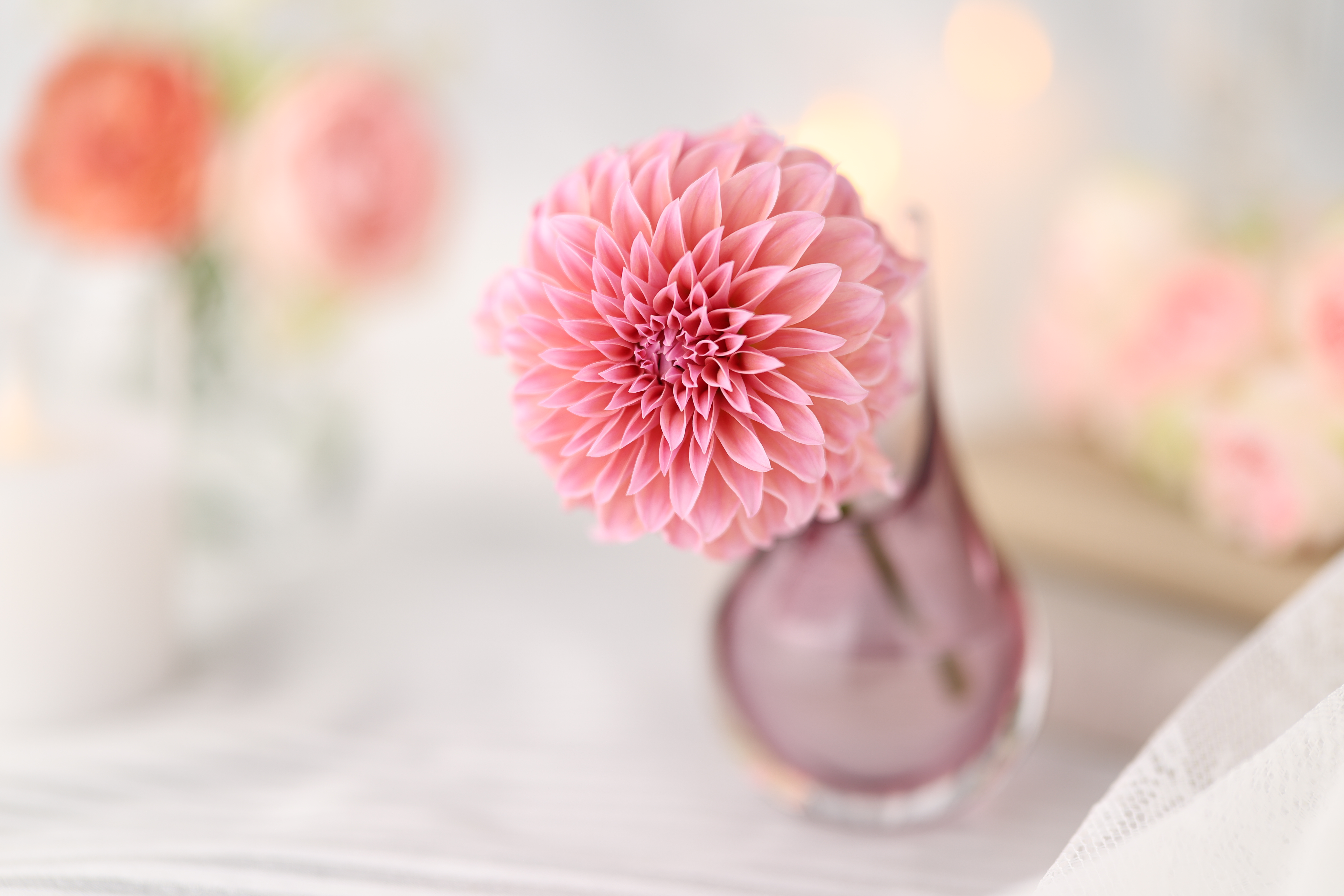 Sample image taken with the Canon RF 85mm f/1.4L VCM