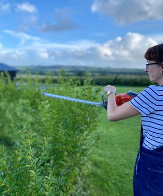 woman trimming a hedge with the Husqvarna 115iHD45 cordless hedge trimmer