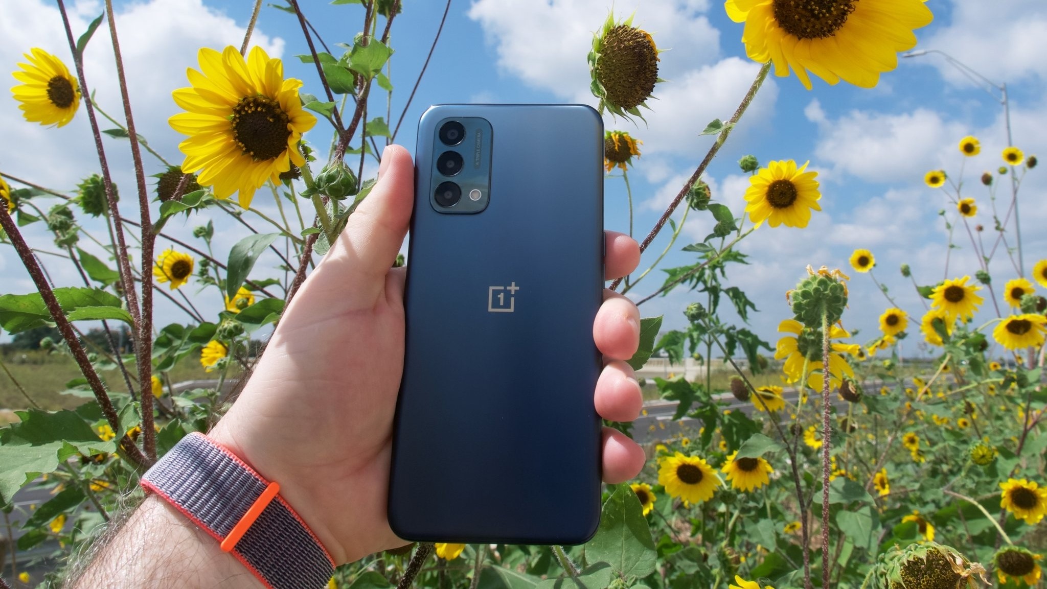 OnePlus Nord N200 in front of sunflowers