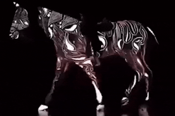 Mind boggling Horse Optical Illusion Stumps The 