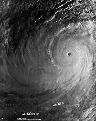 Image of Typhoon Tip at its strongest on Oct. 12, 1979.