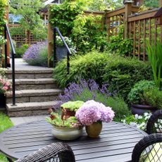 Small townhouse perennial summer garden with pretty fence and outdoor seating
