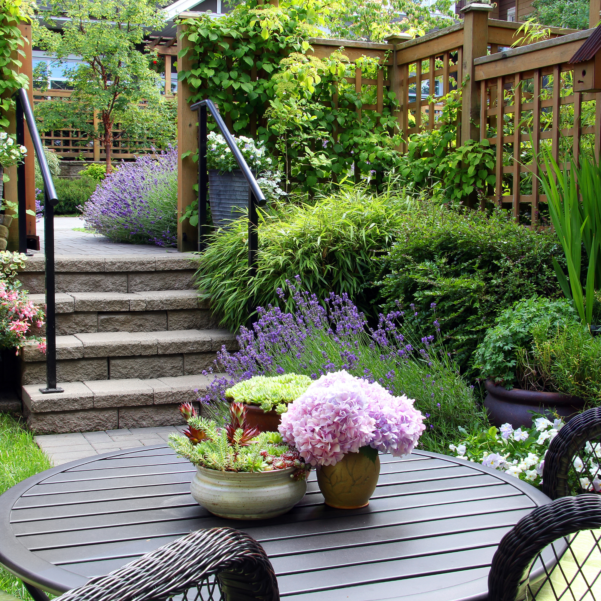 Small townhouse perennial summer garden with pretty fence and outdoor seating