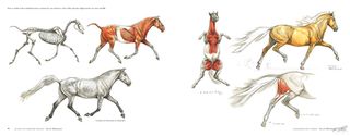 ScienceofCD: horses