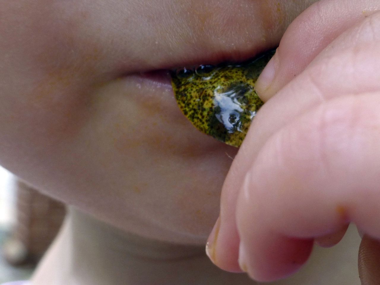 Person Tasting A Leaf