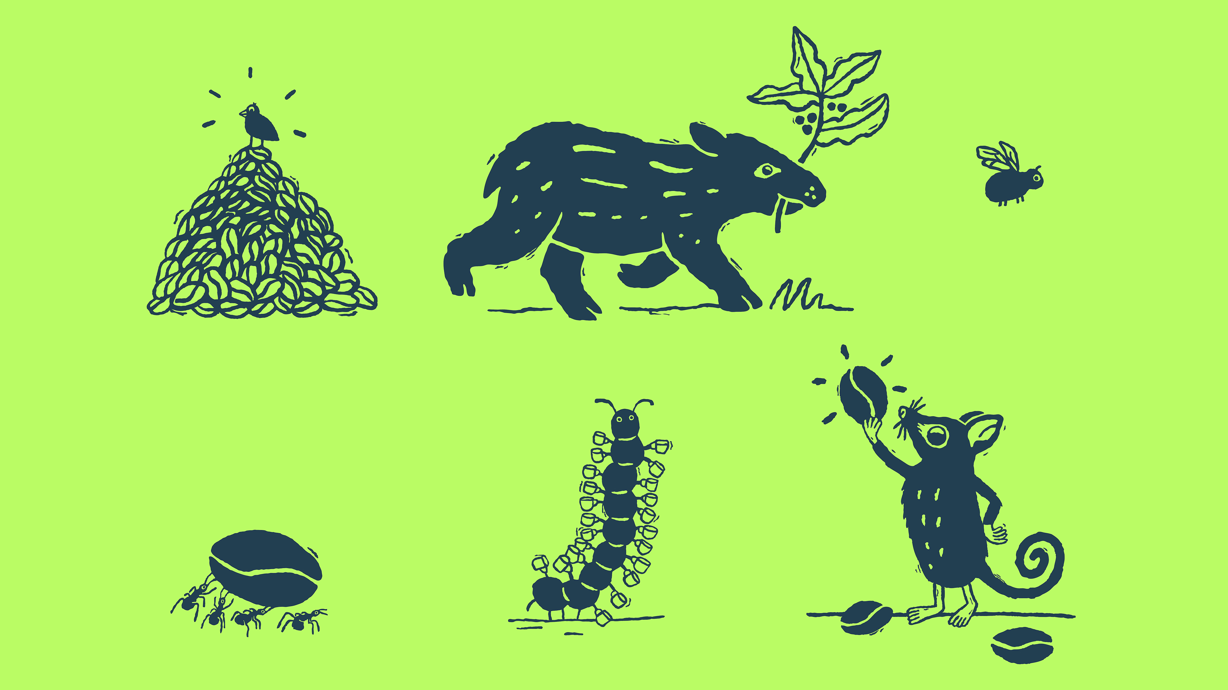 Curu nature loving coffee branding