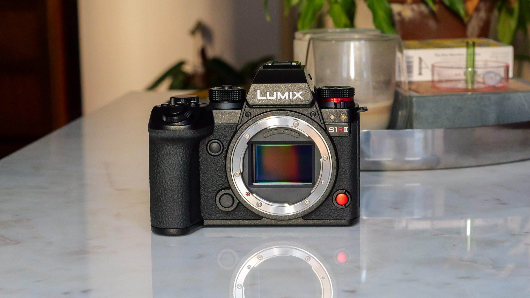 Panasonic Lumix S1R II