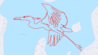 Strava art by Jonathan O'Keeffe - heron