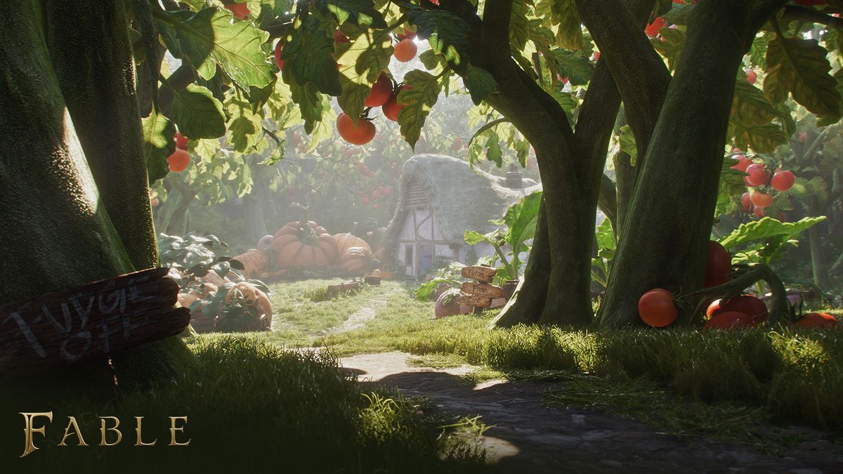 Fable 4 gameplay screenshot