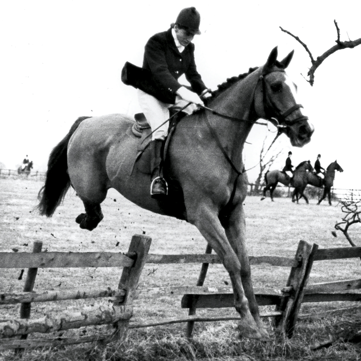 the hon migs greenall quorn hunt