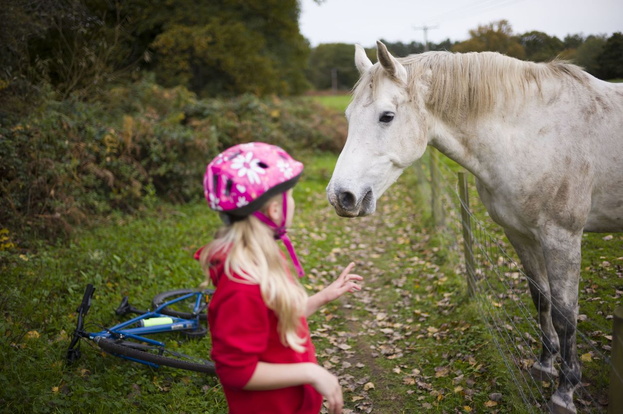 Leica M EV1 sample gallery: girl giving grass to a horse