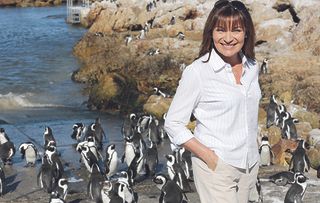 Lorraine Kelly concludes her visit to Africa's busiest emergency department for penguins in Cape Town