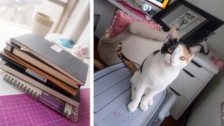 Artist studio; Karla Diaz, cat sat on a stack of books