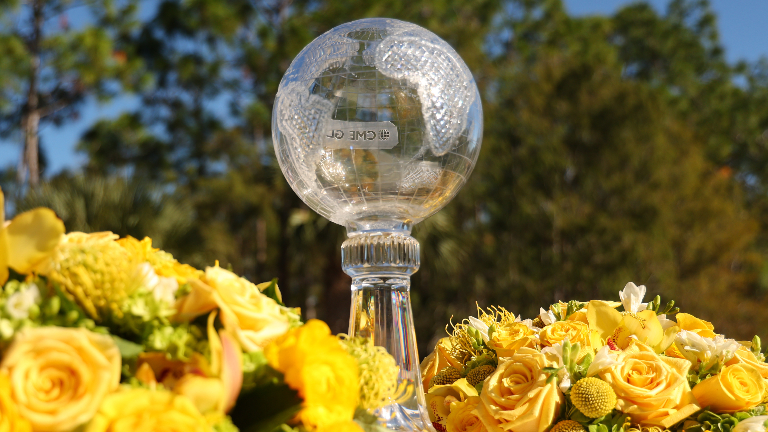 Image of The CME Globe trophy 