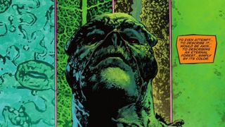The Swamp Thing #4 excerpt