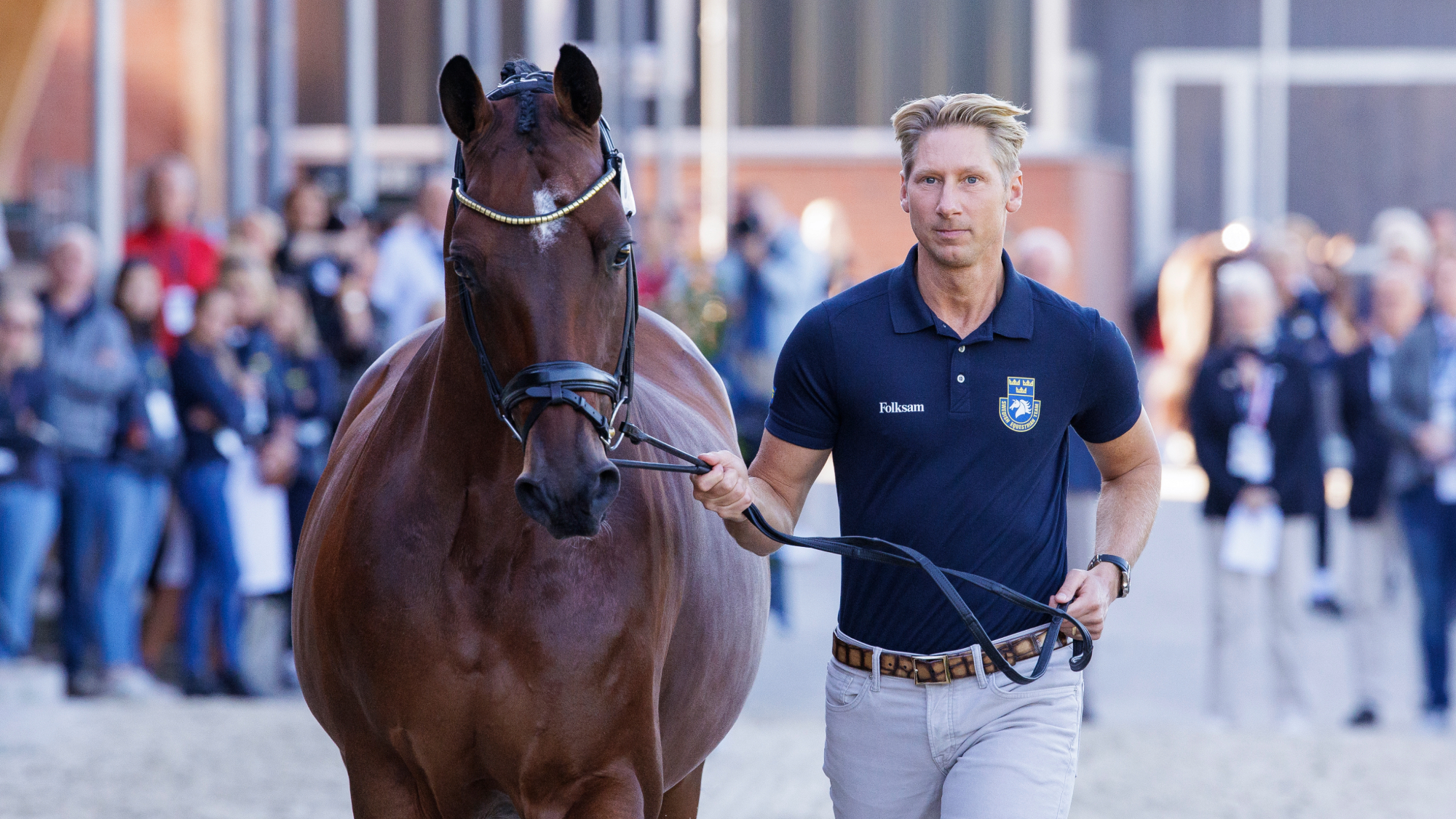 Patrik Kittel and Touchdown during the trot up at the 2023 European Championships in Riesenbeck