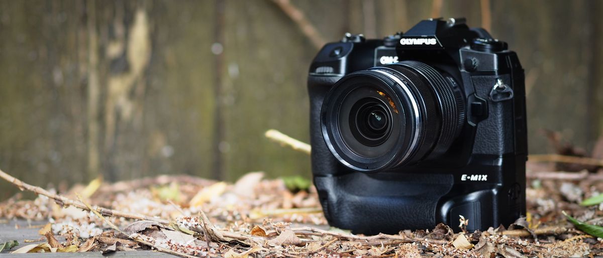 OM System M.Zuiko 12-40mm f/2.8 Pro II lens, mounted to an Olympus OM-D E-M1X camera, on a pile of leaves against a wooden background