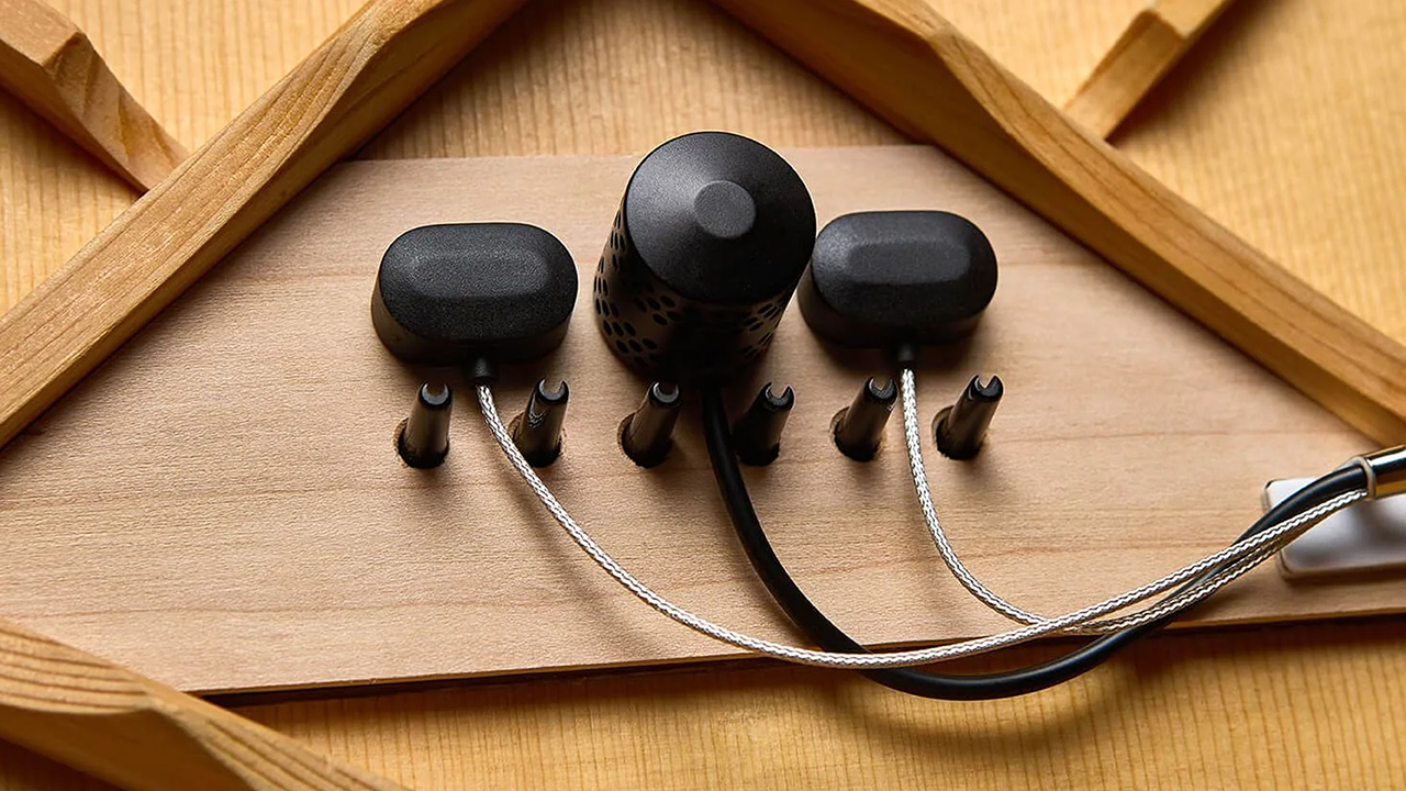 LR Baggs HiFi Duet