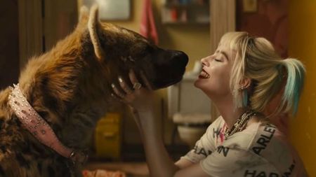 Margot Robbie as Harley Quinn in Birds of Prey